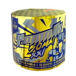 POMNIK